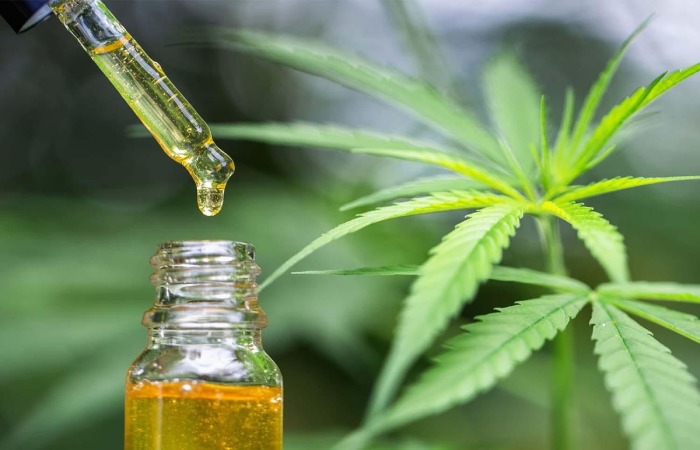 Oil Tincture and Its Benefits