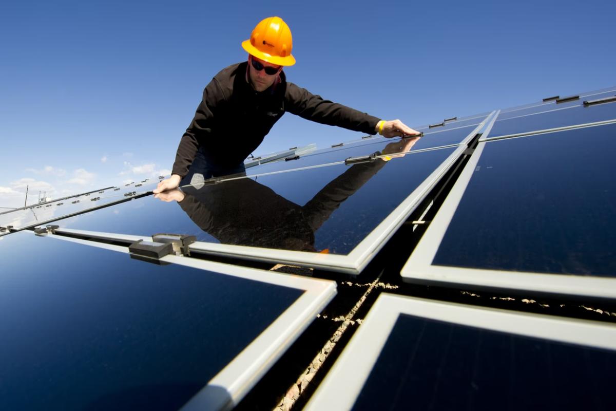Solar Panels Pet Clinic Friendly