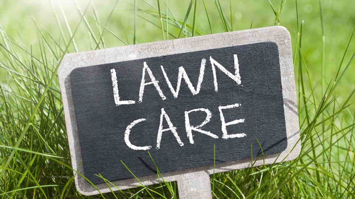 How To Run A Profitable Lawn Care Business