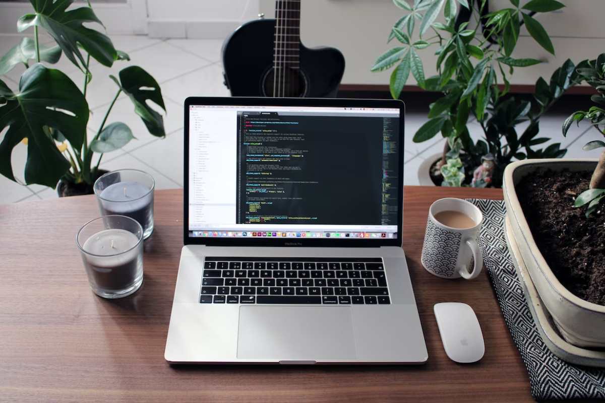 WordPress Errors