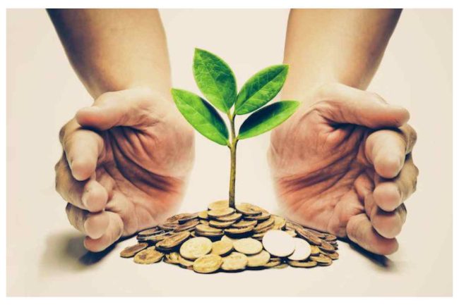 Ethical Investors