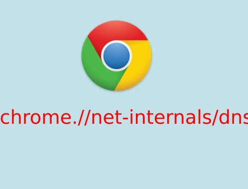 Chrome Net Internals Dns_