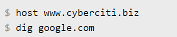 dig command or host command