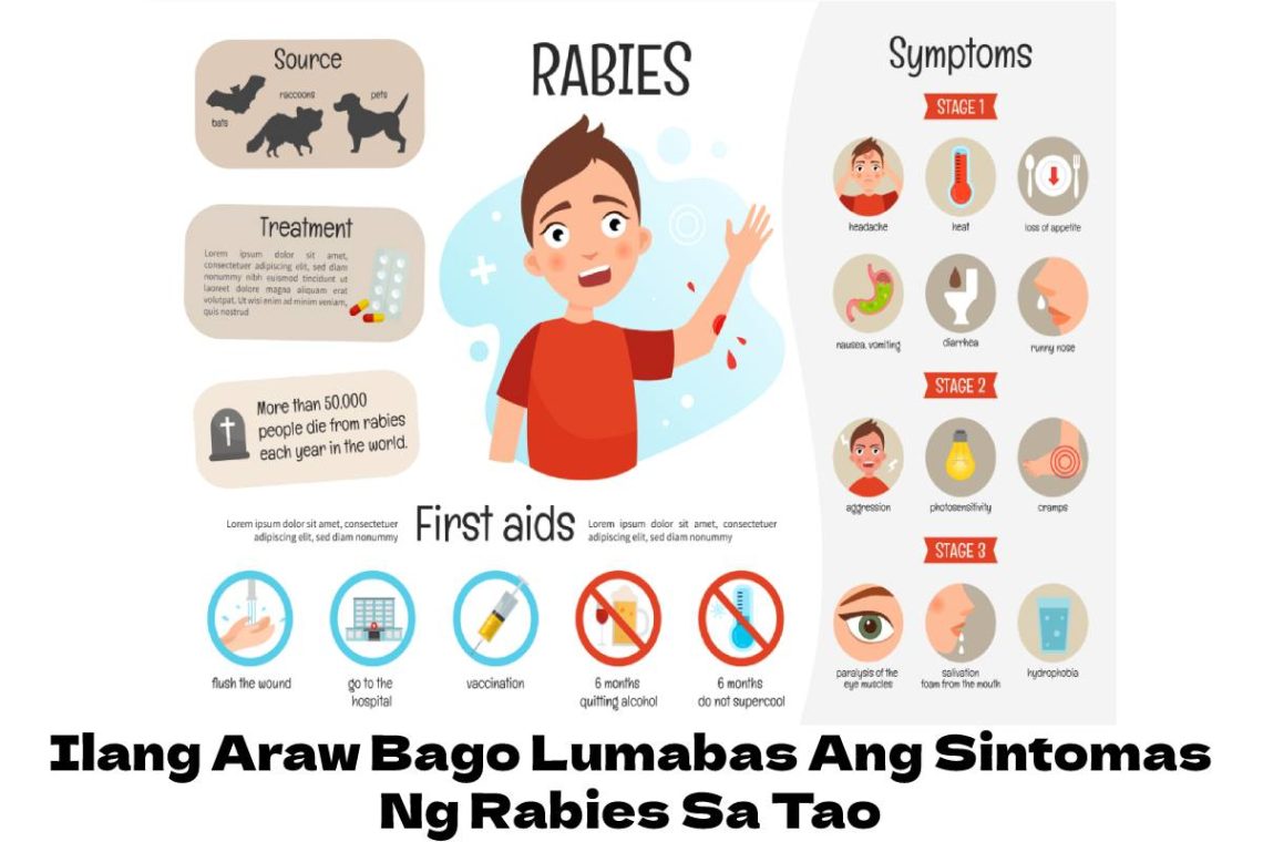 Ilang Araw Bago Lumabas Ang Sintomas Ng Rabies Sa Tao
