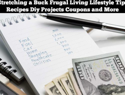 Stretching a Buck Frugal Living Lifestyle Tips Recipes Diy Projects Coupons and More