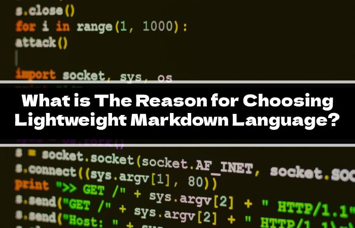 What is The Reason for Choosing Lightweight Markdown Language_