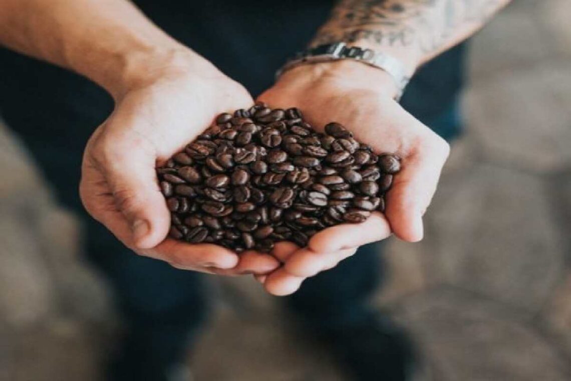 6-Step Guide to Starting an Online Coffee Business