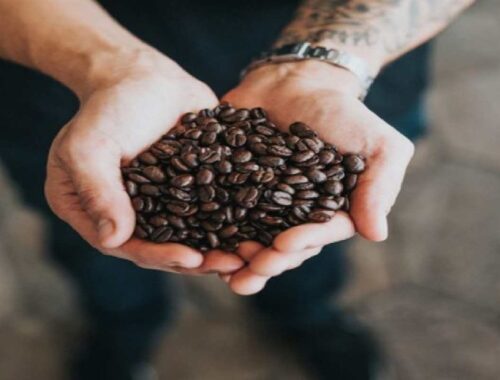 6-Step Guide to Starting an Online Coffee Business